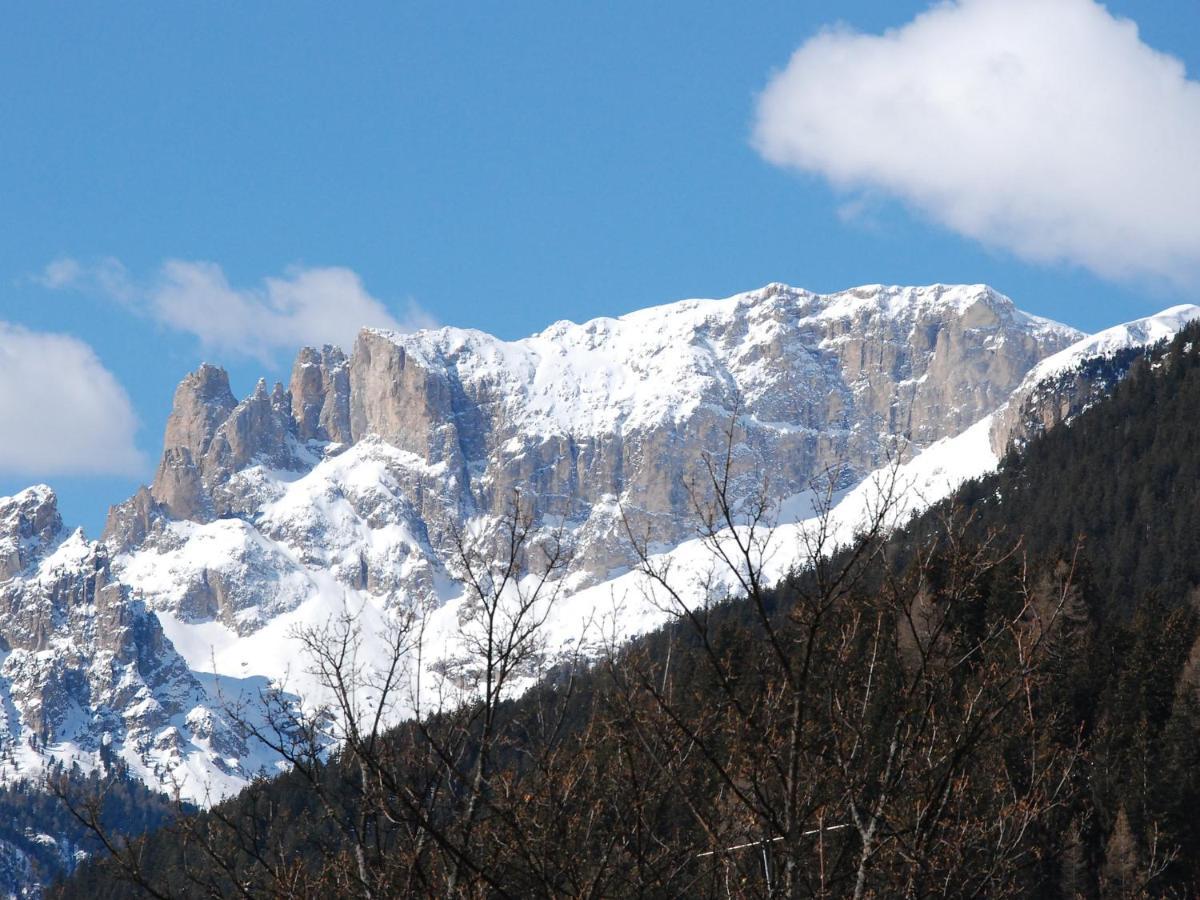 Apartment Villa Placidia-8 By Interhome Campitello di Fassa Εξωτερικό φωτογραφία